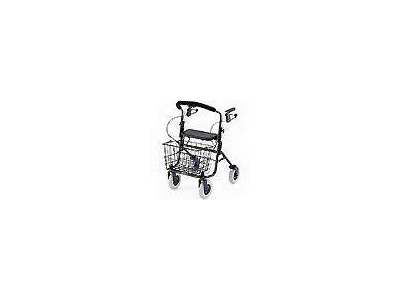 Explorer Rolling Walker