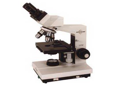 Accuscope 3000 Microscope