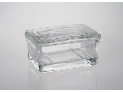 Rectangular Glass Staining Dish w/Lid